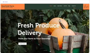 Small business website examples created with Wix