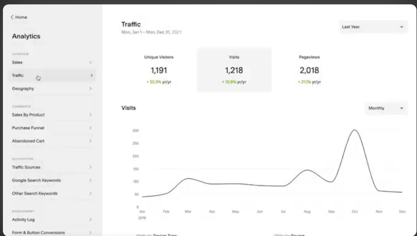 Squarespace analytics dashboard