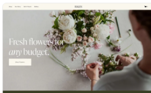 An example of a squarespace small business website