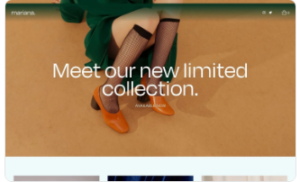 Example of a simple Squarespace online store